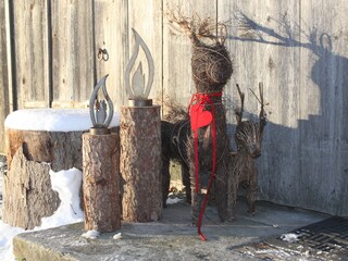 Casa per le vacanze Schnepfau Registrazione all'aperto 5