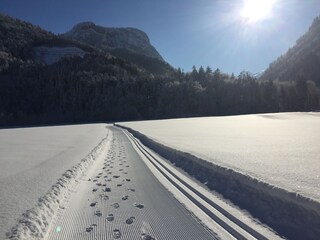 Casa per le vacanze Schnepfau Ambiente 34
