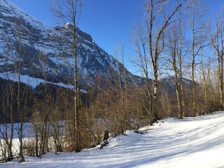 Casa per le vacanze Schnepfau Ambiente 37