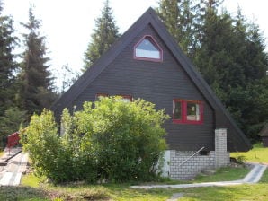 Ferienhaus Tatze - Feldberg im Schwarzwald - image1