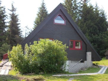 Ferienhaus Tatze
