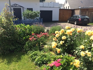 Blick von der Terrasse