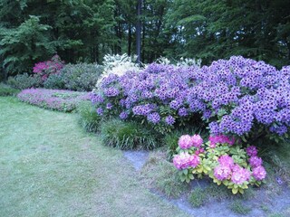 Rhododendronpark, 200 m entfernt