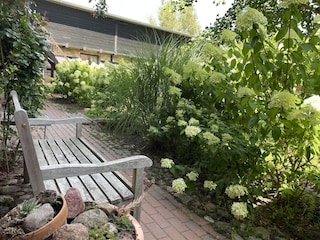 Ferienwohnung Saal in Vorpommern Außenaufnahme 7