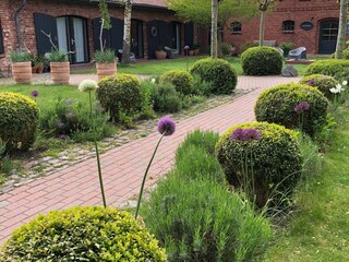 Ferienwohnung Saal in Vorpommern Außenaufnahme 9