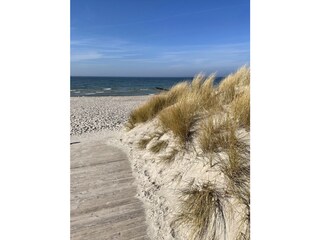 Strand Dierhagen