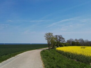 Der Weg zum Strand "Pottloch"