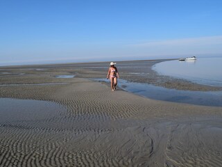 Im Wattenmeer