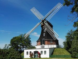 Holiday house Mühle Catharina - Oldenswort - image1