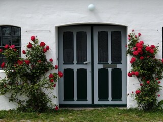 Casa per le vacanze Oldenswort Registrazione all'aperto 6