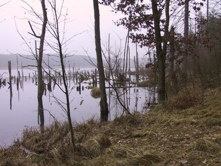 Appartamento per vacanze Kargow Ambiente 17