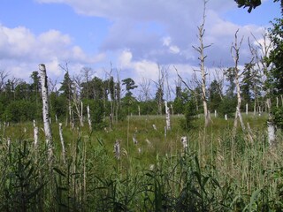 Appartamento per vacanze Kargow Ambiente 18