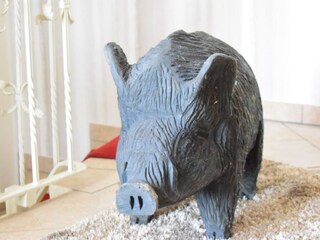 Appartamento per vacanze Kargow Caratteristiche 8