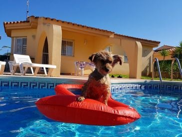 Ferienhaus Menorca mit Privatpool (Urlaub mit Hund)
