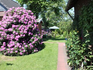 Zuweg zum Gartenpavillon