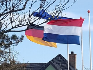 Bungaló Julianadorp Documento 24