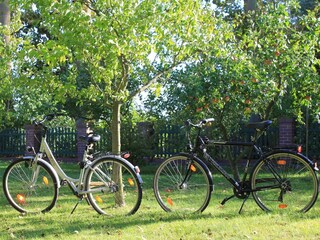 Miet-Fahrräder auf Wunsch