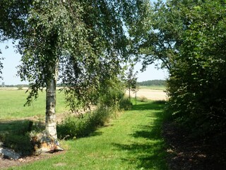 Blick hinterm Haus