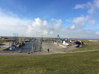 Kutterhafen im Frühjahr