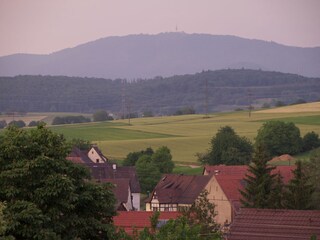 Blick über Welmlingen