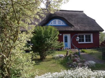 Holiday house Aantengössel