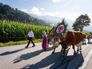 Casa per le vacanze Stummerberg Ambiente 34