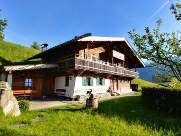 Ferienhaus Chalet Weberer