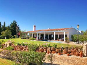 Holiday house Casa de Tartarugas - São Bartolomeu de Messines - image1