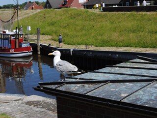 Historischer Hafen Greetsiel