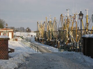 Fischerkutter im Schnee