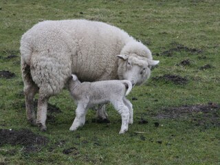 Die liebevolle Mama