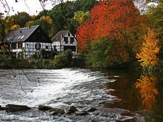 Appartamento per vacanze Solingen Ambiente 22