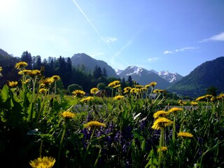 Apartamento de vacaciones Oberstdorf Entorno 15