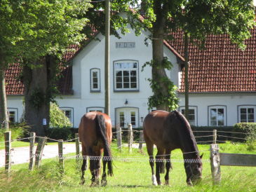 Holiday apartment Lindekjer