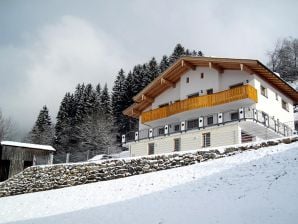 Holiday house Sonnenterrasse - Stumm - image1