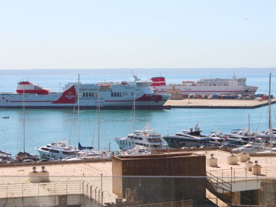 frauen auf mallorca kennenlernen Sie sucht kontakt auf mallorca schalten sie ich bin 56 jahre alt, habe schwarze mittellange haare, 178cm groß und bin eine ganz normale frau, die die. frauen auf mallorca kennenlernen Sie sucht kontakt auf mallorca schalten sie ich bin 56 jahre alt, habe schwarze mittellange haare, 178cm groß und bin eine ganz normale frau, die die.