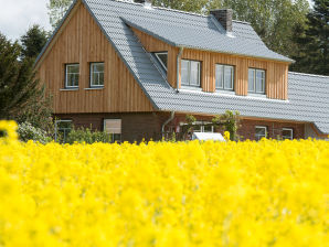 Ferienhaus diekleinevilla - Rieseby - image1