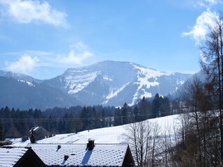 Blick auf den Hochgrat