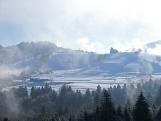 Blick auf den Hündle