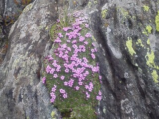 Vakantieappartement Mayrhofen-Hippach Omgeving 19