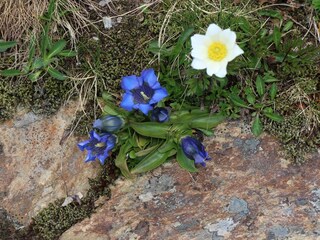 Appartamento per vacanze Mayrhofen-Hippach Ambiente 18