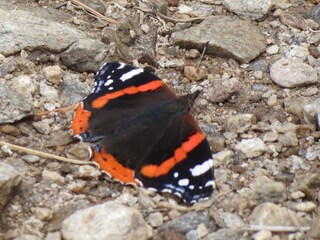 Appartamento per vacanze Mayrhofen-Hippach Ambiente 22