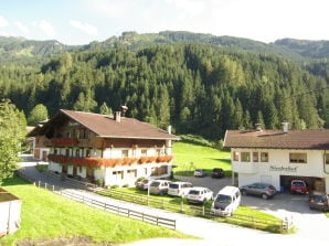 Vakantieappartement Nieslerhof - Mayrhofen - image1