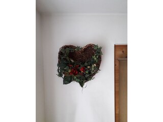 Appartamento per vacanze Mayrhofen Caratteristiche 8