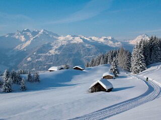 Appartamento per vacanze Fieberbrunn Ambiente 32