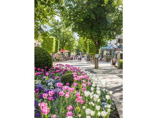 Appartamento per vacanze Bayerisch Gmain Ambiente 31