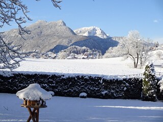 Holiday apartment Bayerisch Gmain Environment 14