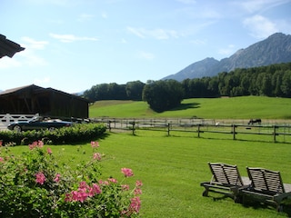Apartamento de vacaciones Bayerisch Gmain Grabación al aire libre 9