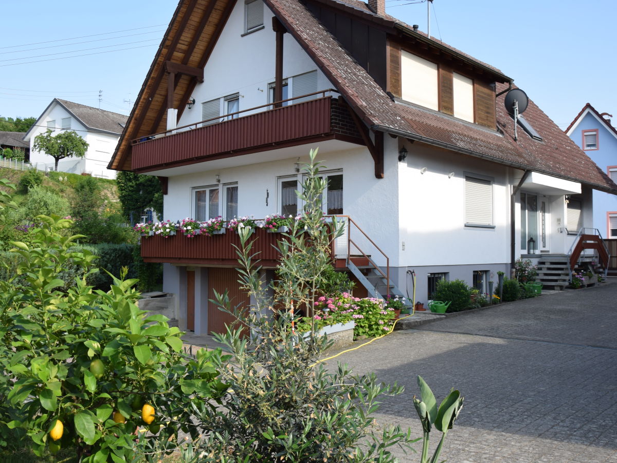 Haus und Hof vom Garten aus