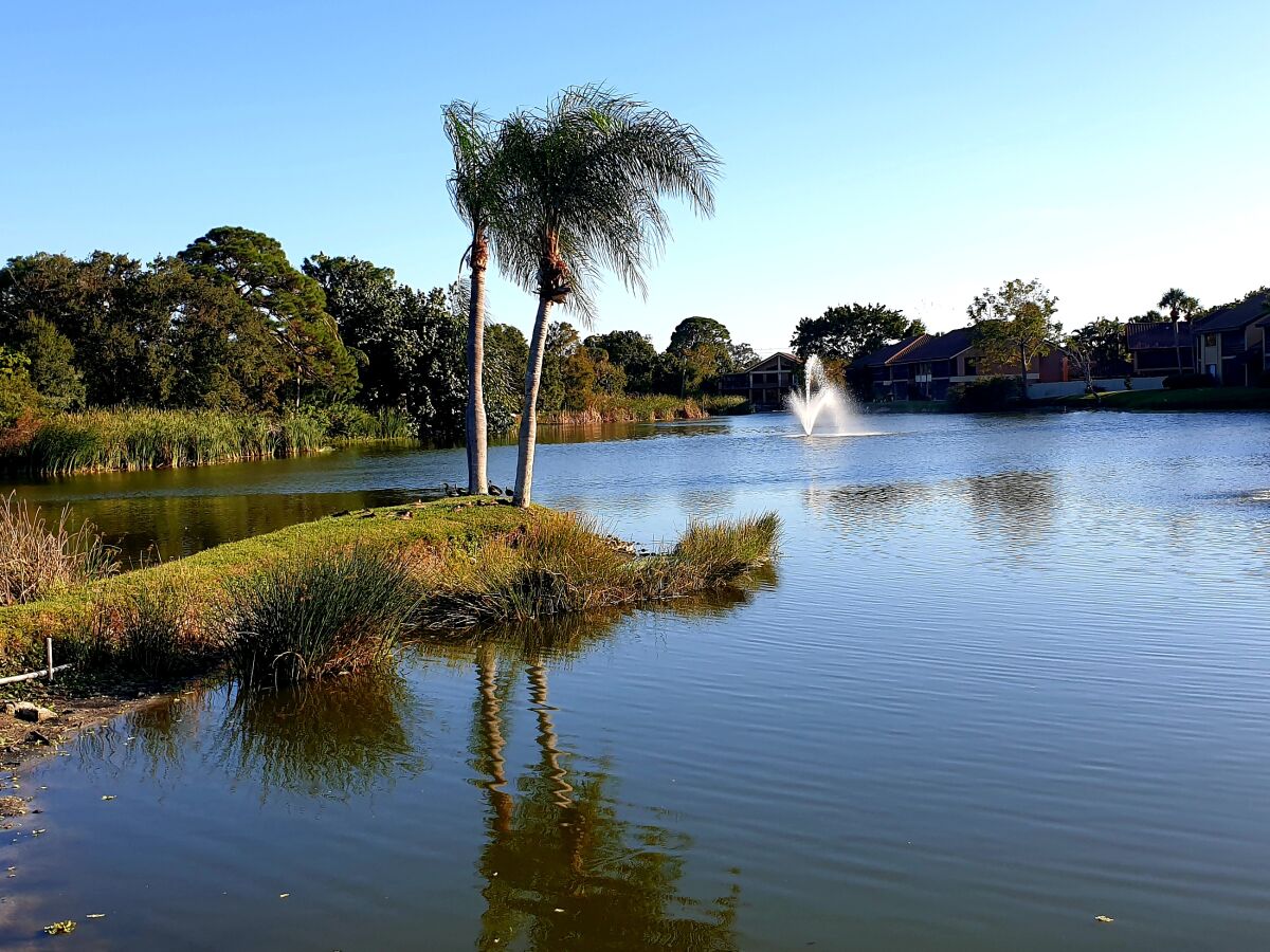 Der schöne See neben dem großen Pool